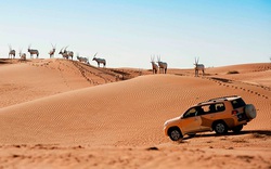 UAE độc đáo với các “kho báu” trên sa mạc tiết lộ những “bí mật bị lãng quên”