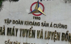 Tập đoàn Khoáng sản Á Cường (ACM) bị phạt 70 triệu đồng