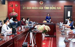Doanh nghiệp Việt - Nhật giao thương trực tuyến, kết nối làm ăn lâu dài