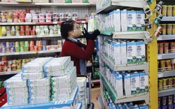 Cơ hội  đẩy mạnh xuất khẩu bơ sữa vào thị trường Israel