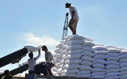 Đường nhập khẩu tăng 5735%, ngành mía đường lâm nguy