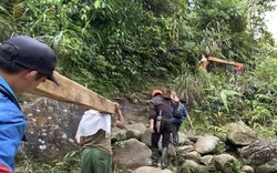Phá rừng pơ mu VQG Hoàng Liên: UBND tỉnh Lào Cai sẽ tiếp tục xử lý trách nhiệm tổ chức, cá nhân có liên quan
