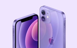 iPhone 12 phiên bản màu tím giảm giá 2 triệu đồng
