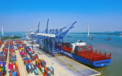 Dự án bến container cảng Lạch Huyện vướng mắc gì phải lùi sang 2022 khởi công?
