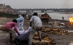 Thi thể trôi dọc sông Hằng, gần 4.000 người chết vì COVID-19 tại Ấn Độ