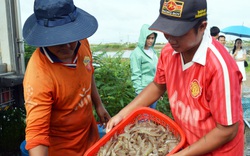 Mỹ - Nga săn hàng, Nhật Bản tăng mua, mới 4 tháng loài thủy sản này của Việt Nam đã thu tỷ USD