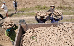 Phú Yên: Đề xuất xây thêm nhà máy chế biến tinh bột sắn ở huyện Sơn Hòa đang vấp phải luồng ý kiến gì?