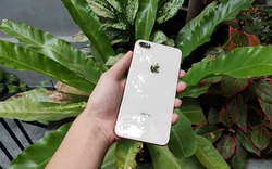 iPhone 8 Plus cập nhật lên iOS 14.5 và cái kết sững sờ người dùng