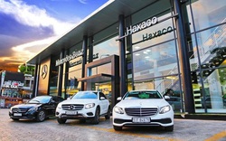 Haxaco - Đại lý Mercedes chốt quyền chia cổ tức cổ phiếu 30%