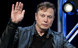 Ám chỉ Tesla đã bán hết bitcoin, Elon Musk lại khiến giá bitcoin tụt dốc