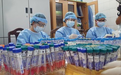 Đà Nẵng hỗ trợ 12.000 sinh phẩm xét nghiệm SARS-CoV-2 cho Bắc Giang và Bắc Ninh giữa dịch Covid-19