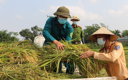 Công an Vĩnh Phúc xuống đồng thu hoạch lúa giúp người dân đang phải đi cách ly y tế