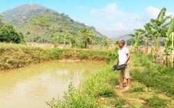 Mường Tè đẩy mạnh phong trào “Nông dân sản xuất, kinh doanh giỏi”