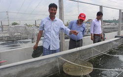 Nam Định: Vào Hội Nông dân, hội viên được vay vốn, làm ăn hiệu quả