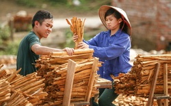 Chuyện bầu cử ở Quảng Ninh: Khi tiếng nói của người nông dân ngày càng được lắng nghe