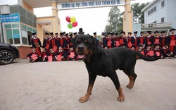 Mùa dịch Covid-19, nhìn lại những sự cố chụp ảnh kỷ yếu khiến học sinh "khóc thét"