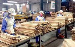 Ngành gỗ Việt đang có nguy cơ bị áp thuế phòng vệ thương mại