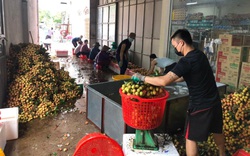 Vải thiều thông quan sang Trung Quốc thuận lợi, vải sớm hút khách, Bắc Giang linh hoạt các kịch bản tiêu thụ