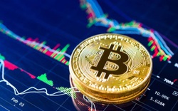 Nhìn lại tuần "sốc giá" của bitcoin và loạt đồng tiền điện tử tuần qua: vì đâu nên nỗi?