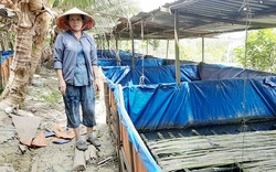 An Giang: Quây bạt trên cạn nuôi lươn không bùn, bắt lên toàn lươn to, có bao nhiêu thương lái cân hết sạch