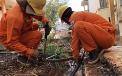 PC Đắk Lắk: Đảm bảo cấp điện cho các bệnh viện, trung tâm y tế và cơ sở cách ly