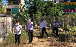 Quảng Ngãi:
Chủ tịch tỉnh kiểm tra hiện trường vụ buộc khôi phục nguyên trạng đất cải tạo cây trồng 
