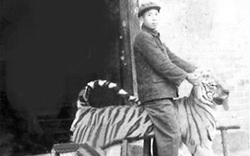 "Võ Tòng thời hiện đại"- cụ ông 64 tuổi tay không giết hàng trăm con hổ, con nặng nhất 300 cân