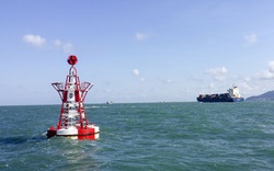 9/17 thuyền viên dương tính SARS-CoV-2, TP.HCM đề xuất không cho tàu từ Ấn Độ cập cảng Sài Gòn