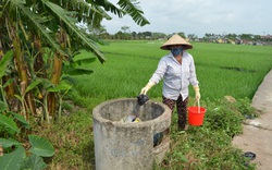 Hưng Yên: Hội viên nông dân vào cuộc, ruộng đồng xanh - sạch - đẹp