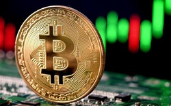 Bitcoin tiếp tục giảm sốc trước sự hoài nghi từ Nhật Bản