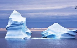 Các nhà khoa học cảnh báo dòng chảy của Greenland chứa mức thủy ngân độc hại đáng báo động