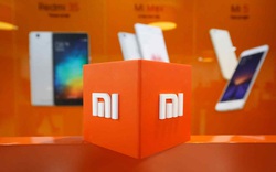 Xiaomi báo cáo lợi nhuận tăng đột biến, một phần nhờ thế chỗ Huawei