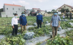Thực hiện nhiệm vụ kép: Vừa chống dịch vừa duy trì hoạt động sản xuất kinh doanh tại Bắc Ninh