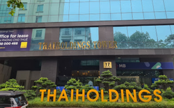 Lợi nhuận của Thaiholdings tăng đột biến
