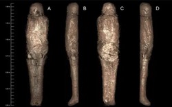 Bí ẩn rùng rợn về "kén xác ướp" trong quan tài Ai Cập hơn 3.000 năm tuổi