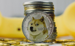 Dogecoin tăng giá 25.000% trong 6 tháng qua: một hiện tượng không thể tin được