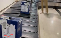 Xử lý thế nào người mạo danh Bộ trưởng Nguyễn Văn Thể gửi lô hàng "khủng" qua đường hàng không