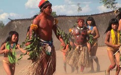 Brazil: Bộ lạc Mehinaku có cách chinh phục phụ nữ thật thú vị