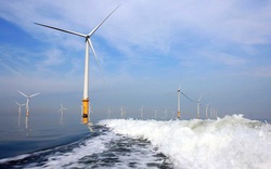 Cà Mau: Bị "tuýt còi", chủ đầu tư dự án điện gió "xin" cấp phép cho 84 lao động Trung Quốc