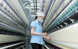Hoa Kỳ kết luận sơ bộ điều tra chống bán phá giá với sợi dún polyester Việt Nam