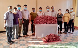 Hội Nông dân tỉnh Ninh Bình tiêu thụ giúp 16,5 tấn hành tím cho nông dân Sóc Trăng