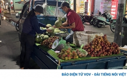 Hàng loạt trái cây không tiêu thụ được, nhà vườn ở Bà Rịa – Vũng Tàu kêu cứu