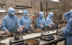 Phú Yên: Sản xuất công nghiệp đảm bảo tăng trưởng giữa áp lực Covid-19