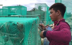 Khánh Hòa: Nghề may lưới phục vụ nuôi trồng thủy hải sản thu hút nhiều lao động nông thôn 