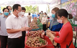 3 tỉnh Lào Cai - Bắc Giang - Sơn La: "Bắt tay" tiêu thụ 70 tấn quả vải thiều, xoài, mận tam hoa Bắc Hà