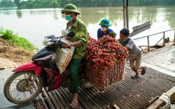 Bắc Giang: Bố trí lực lượng sinh viên tình nguyện hỗ trợ người dân qua cầu phao hiểm nghèo