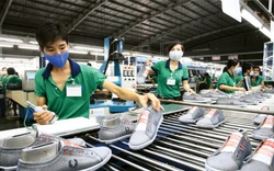 Hiệp định EVFTA: Xuất khẩu giày dép sang EU tăng 19,2%