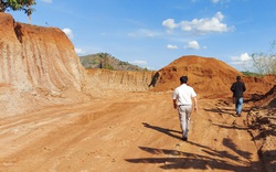 Vụ khai thác "trộm đất" để làm đường 460 tỷ: UBND tỉnh Gia Lai ra quyết định xử phạt 146 triệu đồng