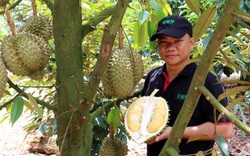 Chế biến trái cây thắng lớn, mỗi năm bán 100 tấn múi sầu riêng đông lạnh, ông chủ này không lo mùa dịch