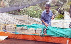 Hậu Giang: Làm hầm nổi nuôi ba ba sinh sản, nhẹ công chăm mà tiền lời cao